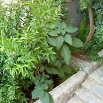 Garbin Ventus By Interhome *