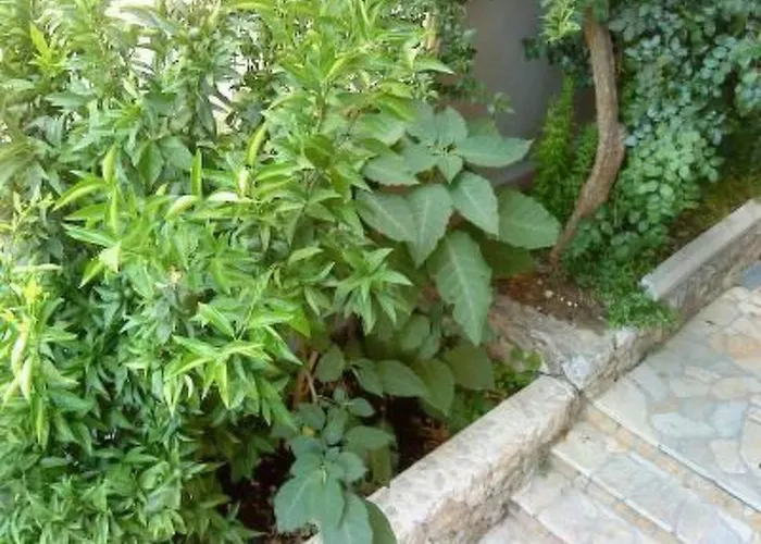 Garbin Ventus By Interhome *